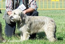 Bild laden Bagoa de Xudracos 1a.jpg